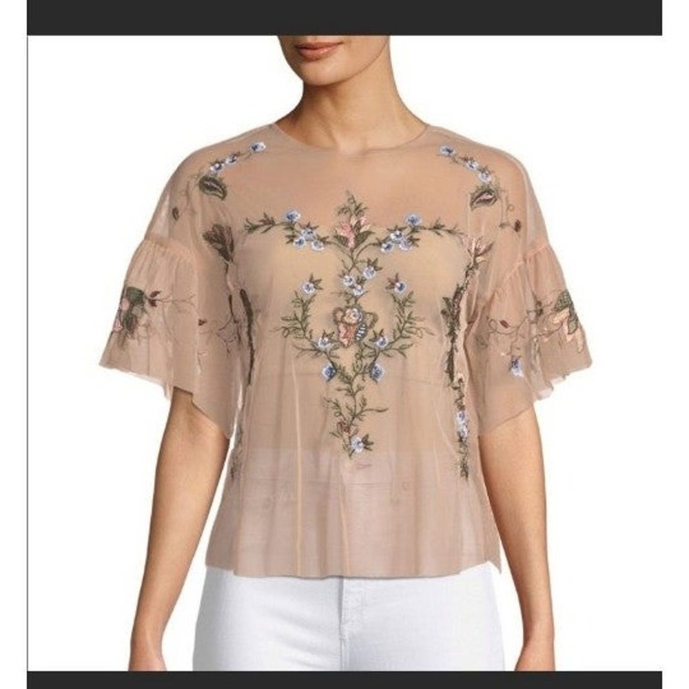 Dex Mesh Embroidered Top